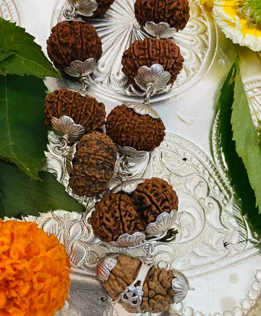 Sarva Siddha Mala सर्व सिद्धा रुद्राक्ष माला with Blessings of Lord Shiva 1-14 Mukhi Rudraksh Gauri Shankar Ganesh Rudraksha Nepali Beads Certified Sarva Siddha Mala Nepal 1 to 14 Mukhi Rudraksha Mala By Lab Bholenath Ki Mala for Men Women By Astro Cart 1