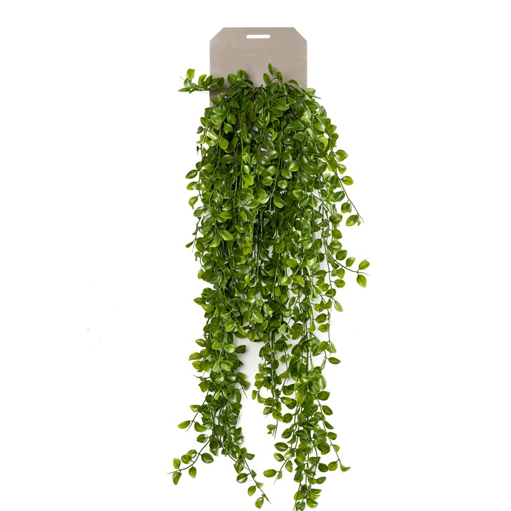 FloristryWarehouse Artificial Ficus Pumila Hanging Bush 80cm/31 Inches