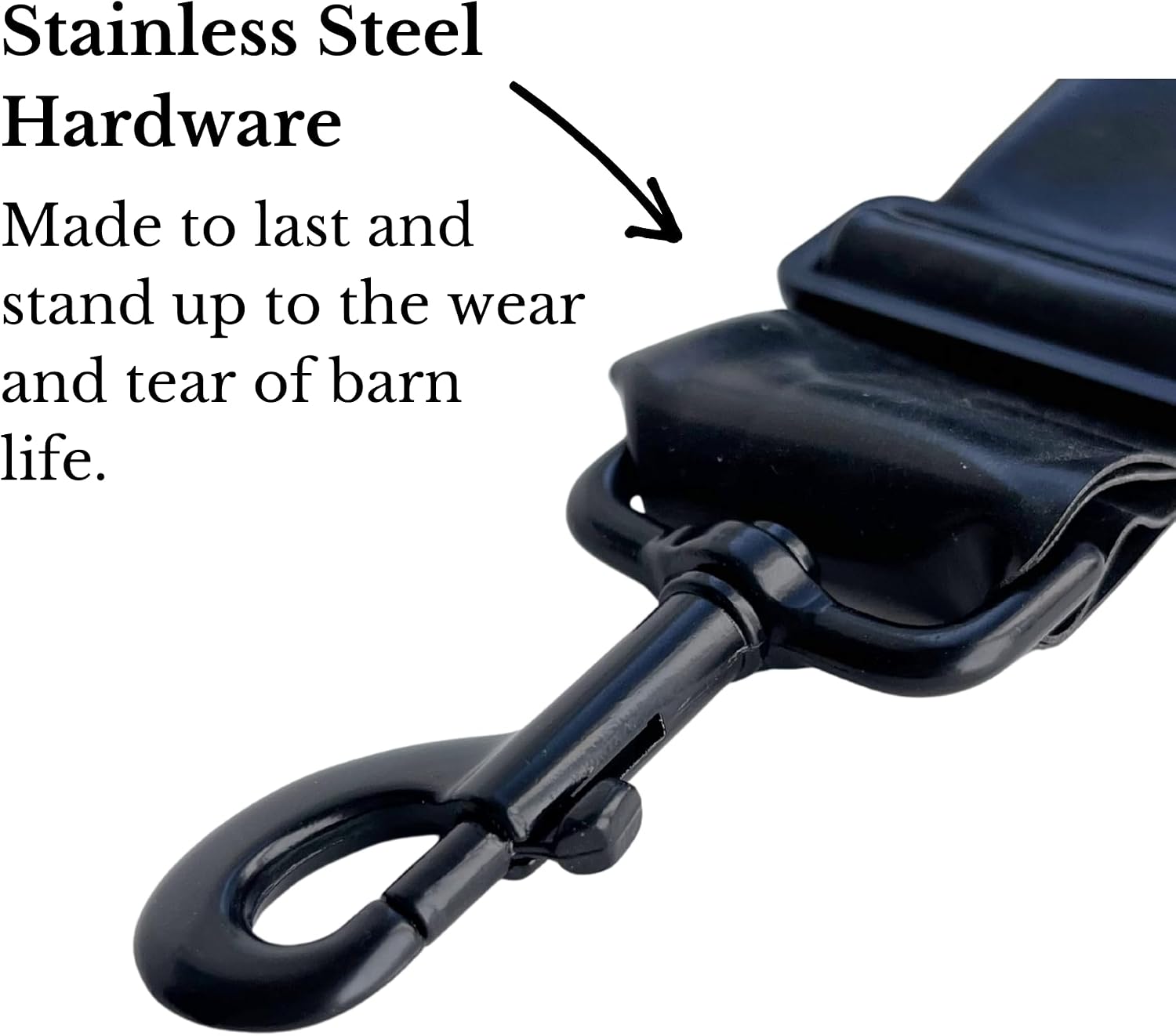 Equine Fitness Band for Horses | Build a Stronger, More Balanced Horse | Encourages Hind End and Topline Development | Fully Adjustable Lunging Band | English and Western image 5