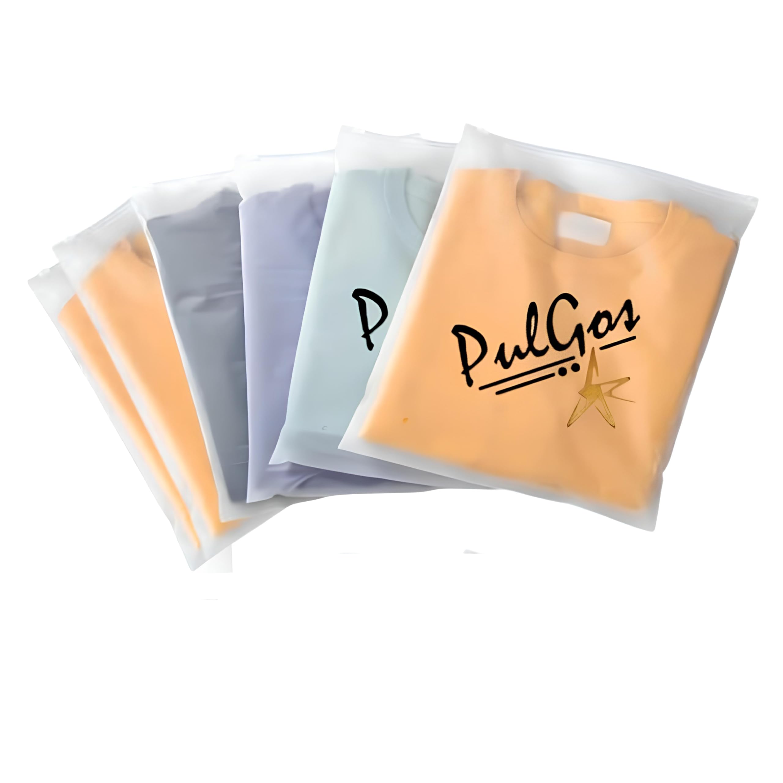 PulGos Pack of 6 Clothes Organizer Bag For Clothes and Wardrobe, Travelling, Single Storage For Saree| Salwar Suit| Lehenga| Shoes| Dress Organizer Frosted Plastic Bags With Zipper, 35x35cm-image-33