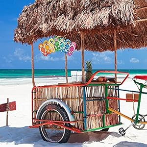 Summer Slippers Hanging Sign Shape Welcome Hello Flip Flop Wooden Door Plaque Rustic Wall Sign Yard Indoor Outdoor Garden Decoration with Rope (Welcome) Summer Slippers Hanging Sign Shape Welcome Hello Flip Flop Wooden Door Plaque Rustic Wall Sign Yard Indoor Outdoor Garden Decoration with Rope Welcome