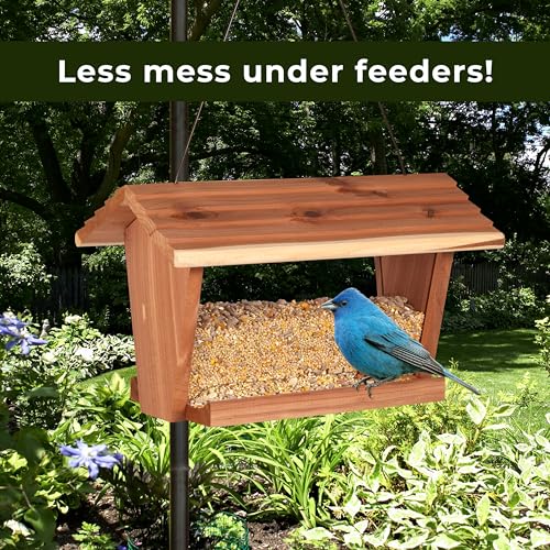 Kaytee Wild Bird No Mess Food Seed Blend for Cardinals, 5 Pound - image 8