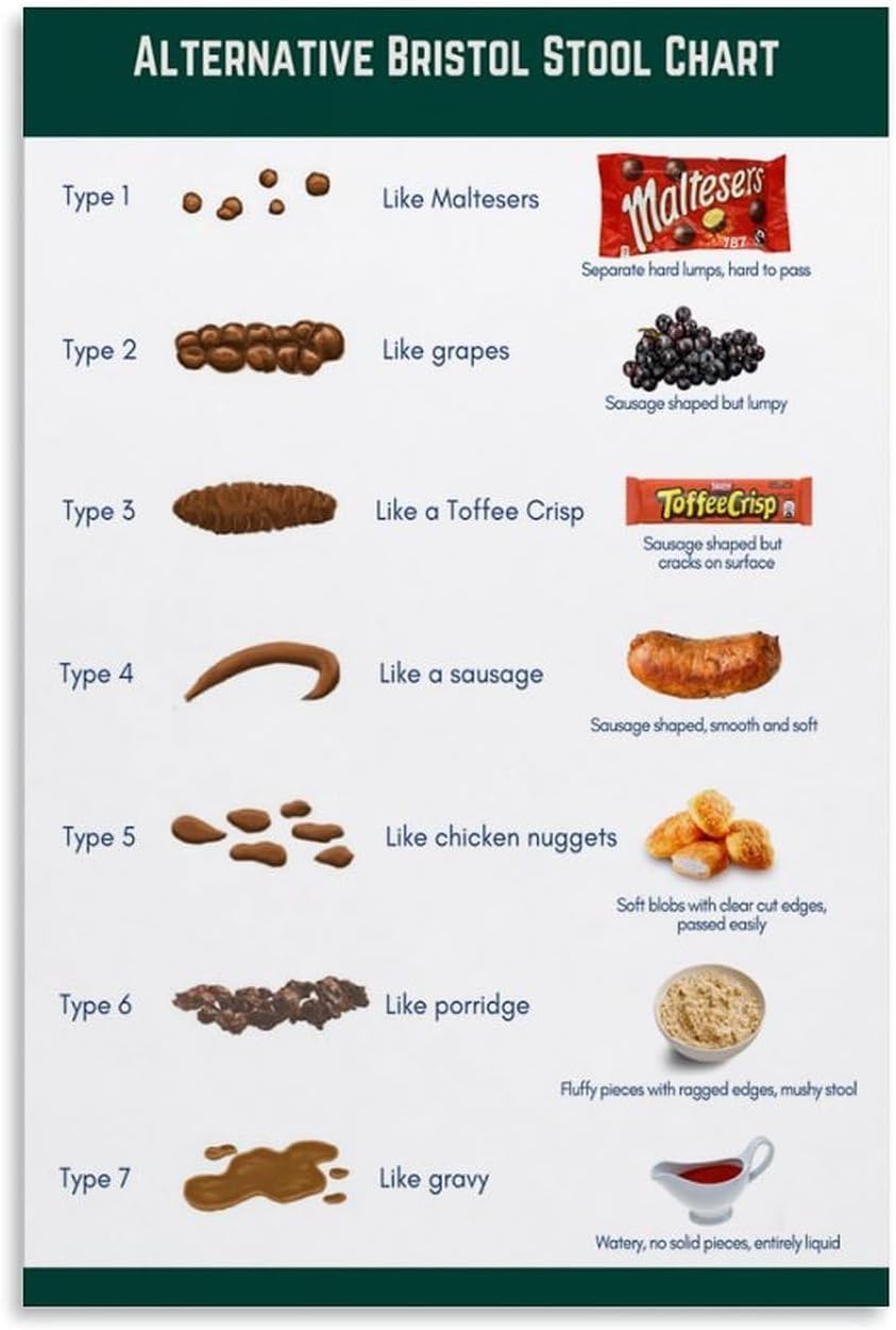 Bristol Stool Chart Diagnosis of Intestinal Constipation and Diarrhea Knowledge Poster Metal Tin Sign School Bedroom Crafts Plaque Retro 6x8inch