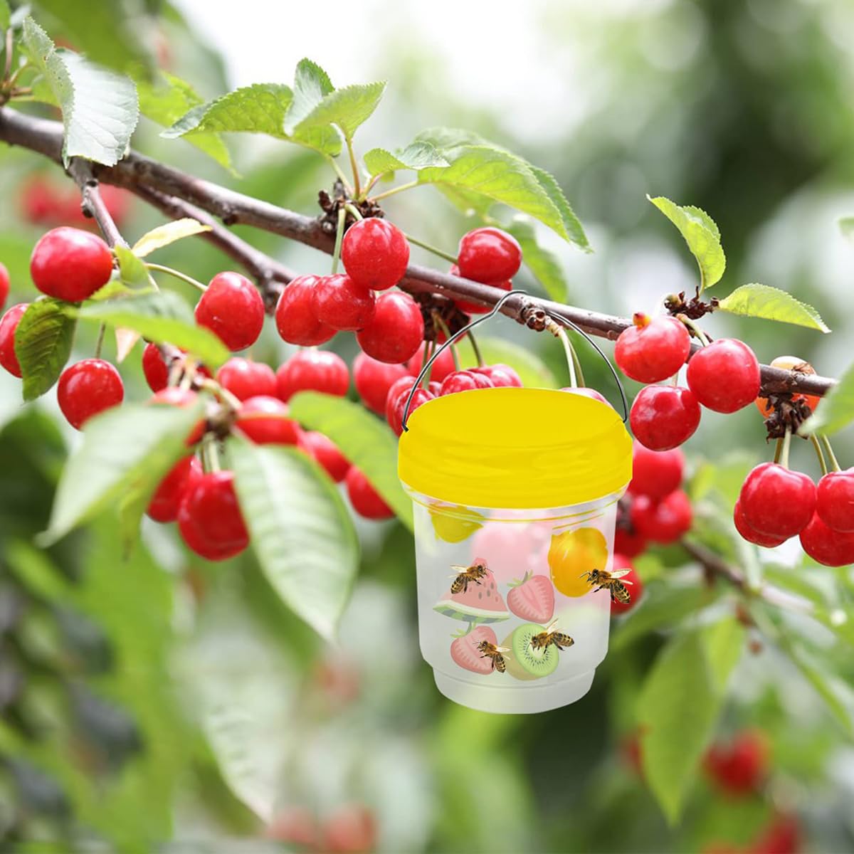 日本みつばち捕獲用トラップ 日本みつばち捕獲用トラップ