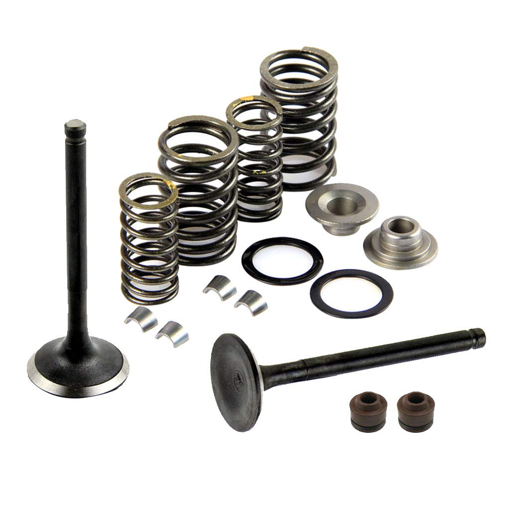 Motorcycle Complete Valve Assembly Kit for 125cc 150cc GY6 4-Stroke Motor