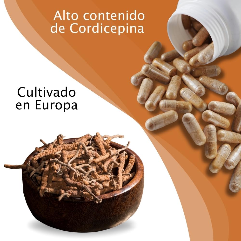 MICOTHERAPHY Cordyceps Sinensis 90 Cápsulas Mejora la Vitalidad, Aumenta la Energía, Mejora el Estrés Físico y Mental, Reduce la Inflamación, Mantiene los Niveles Hormonales en Equilibrio