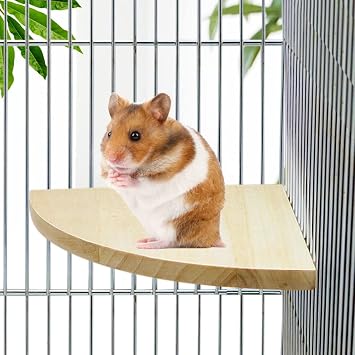 Litewoo Bird Parrot Corner Perch Flat Platform Stand, Easy to Install, Safe and Stable, Smooth Polishing Without Hurting Feet, Solid Hardwood Bird Cage Perches S