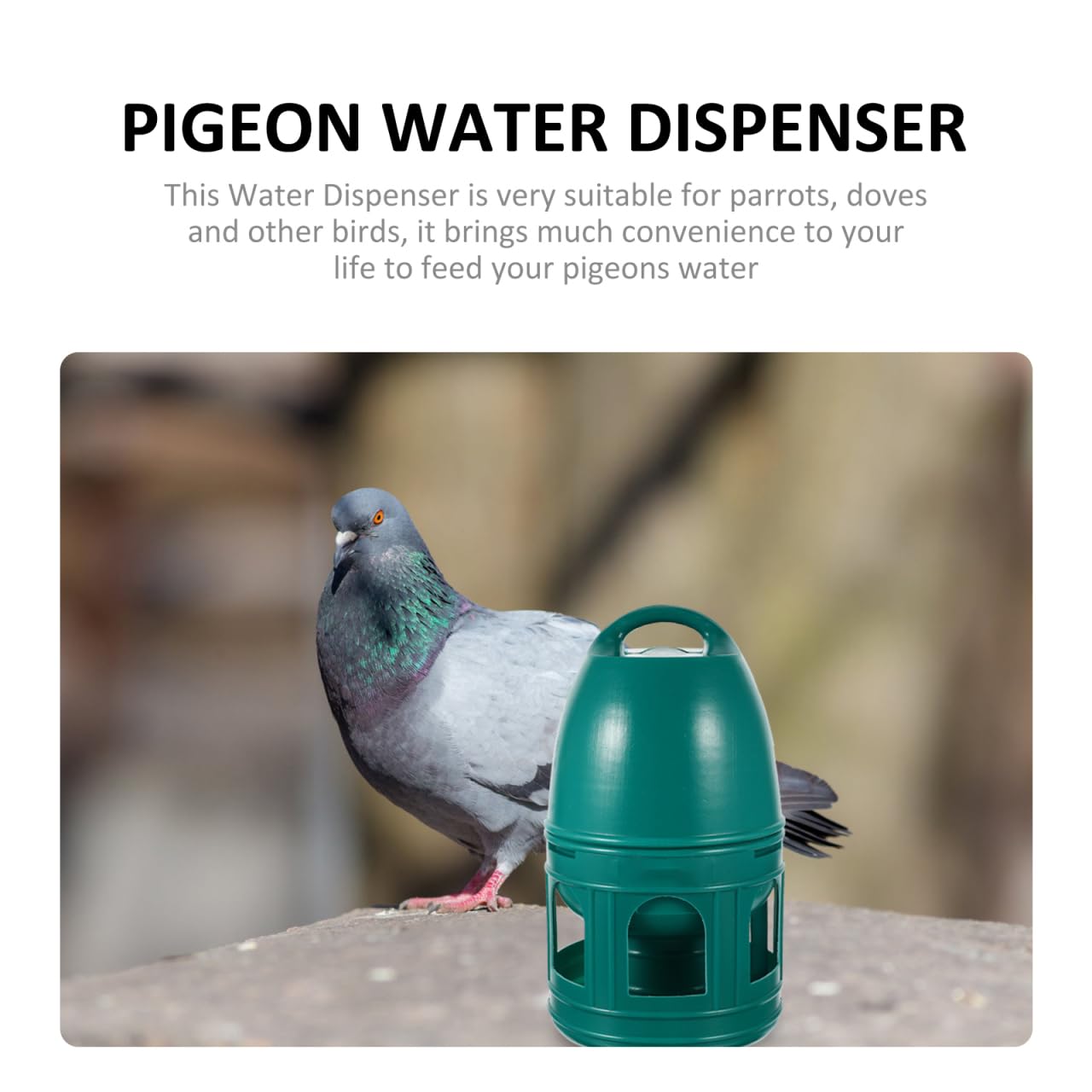 PATKAW Uccello Bevitore Acqua Piccione Dispenser 3L Colomba Bevitore Automatico Piccione Innaffiatoio Pappagalli Alimentatore Pollo Bevitore per Piccione Pollo Anatra