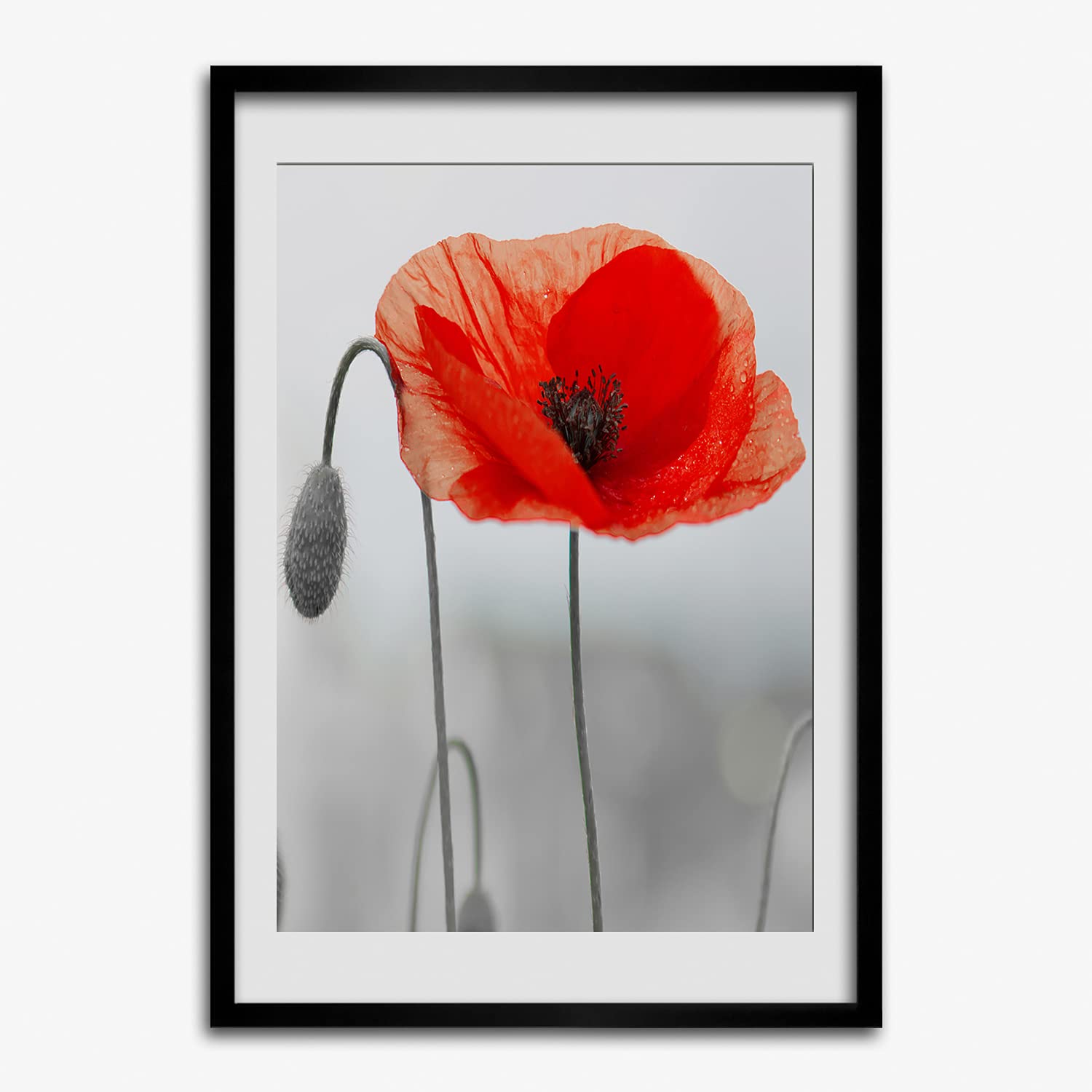 Cadre MDF 50x70 cm avec affiche de coquelicots Tulup