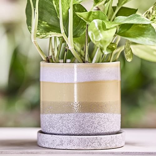 Miniatura 4 de CHIVE - Minuto, suculento, maceta de cactus y platillo de cerámica para flores y plantas con orificio de drenaje y platillo desmontable, ideal para