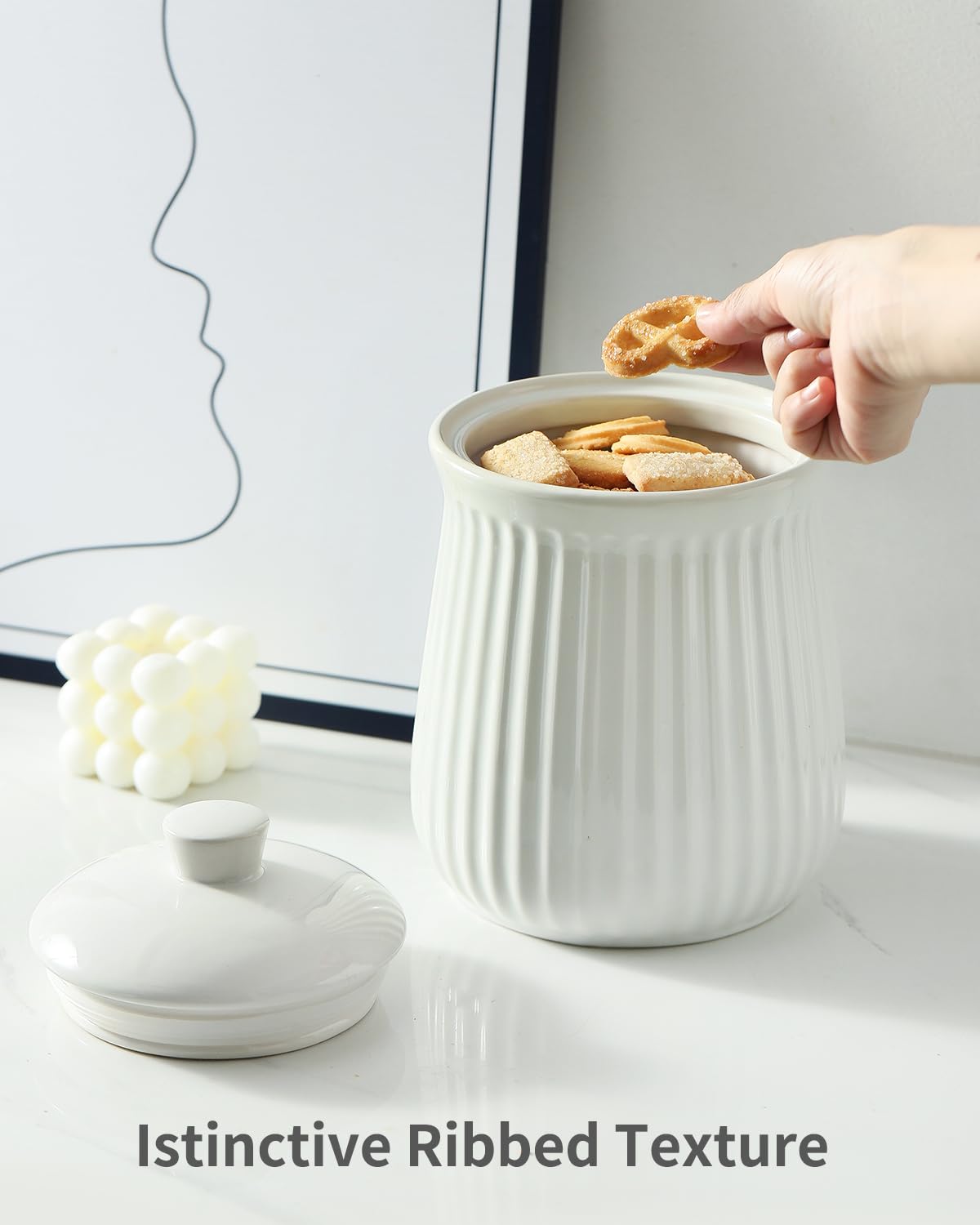 Hasense Frischhaltedosen mit Deckel, 2,5 l Keramik-Frischhaltedose, luftdicht, Keksdose für Kaffeebohnen, Teeblätter, Zucker, Salz, Mehl, Gewürze, Hundeleckerli-Behälter, mikrowellengeeignet, Weiß