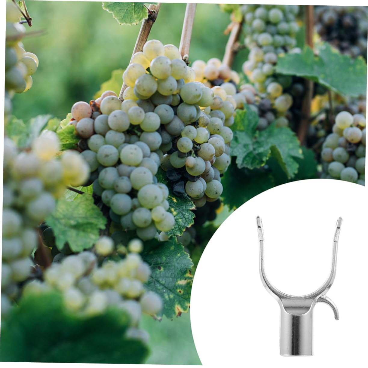15 Stück Obstbaumschutzhilfe aus Aluminiumlegierung Leichte und Harte Astgabel für Garten Obstbaumstütze und Pflanzenunterstützung im Freien