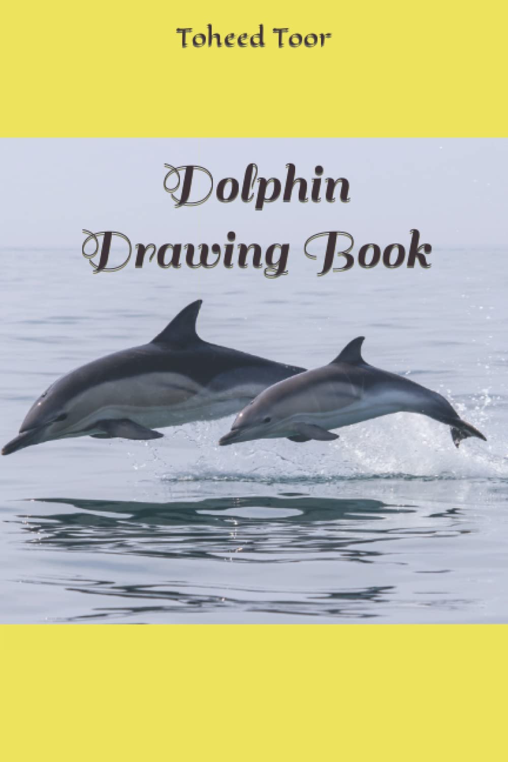 Dolphin Drawing Book