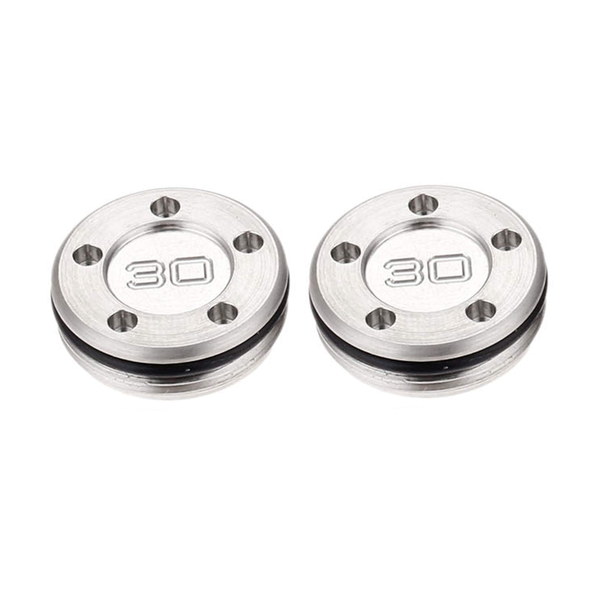 SEACLOUD Puttergewichte für Scotty Cameron Select Newport Studio Design Clubs Head (30 g x 2, Silber)