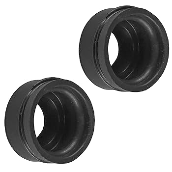 Amazon.com: Caltric 2x Valve Stem Seal Compatible with