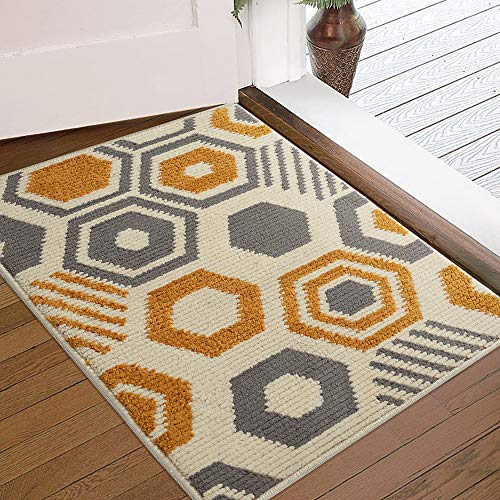 Color&Geometry Indoor Doormat Indoor Outdoor 24"x36" Mat Waterproof, Non Slip Washable Quickly Absorb