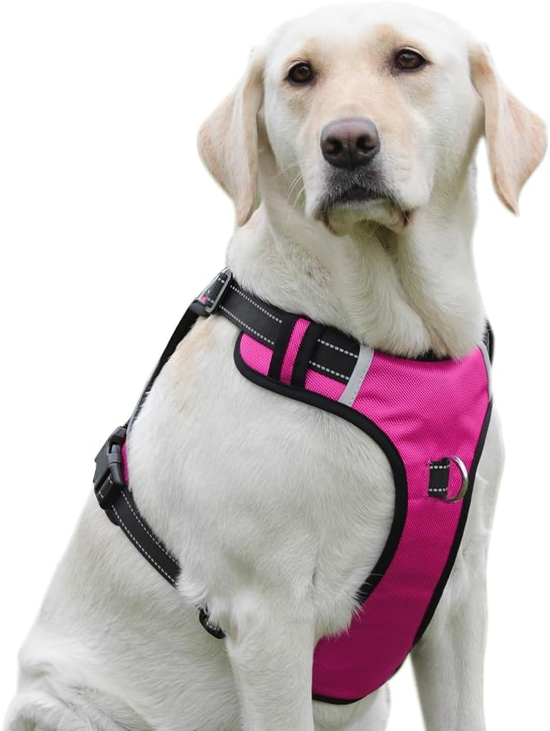 Dog Harness No Pull Dog Harness with 2 D-Ring,Adjustable Reflective Soft Padded Dog Vest Oxford Vest and Handle for Large Dogs Hot Pink,L