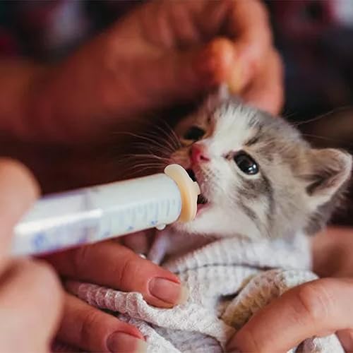 Miniatura 6 de 5 unidades de dispositivo de lactancia materna para mascotas, lindo y práctico alimentador de leche de látex para mascotas, alimentador para