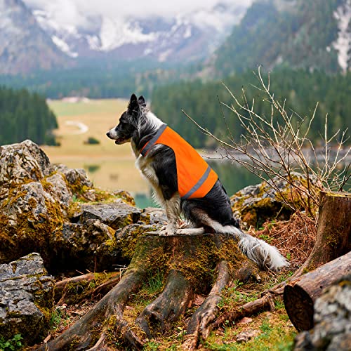 Chaleco de caza para perros resistente al desgaste con arnés ajustable integrado 4