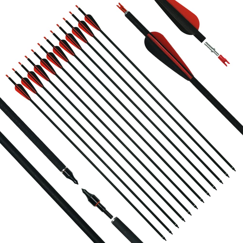 longbowmaker12pcs Archery Carbon Arrows 31In Target Practice Hunting Arrows with Removable Nock & Tips Points for Recurve Bow