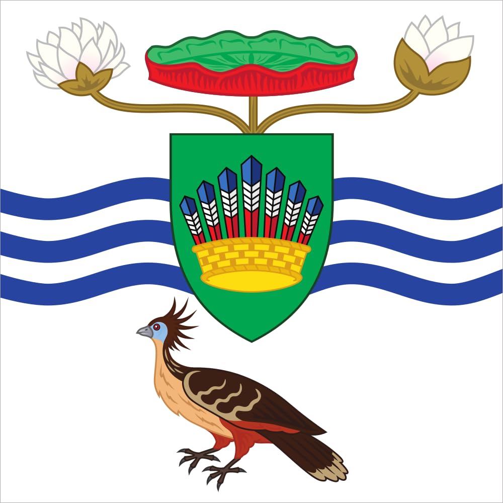 Drapeau des États de Savoie 18e siècle fier héritage maritime pavillon historique