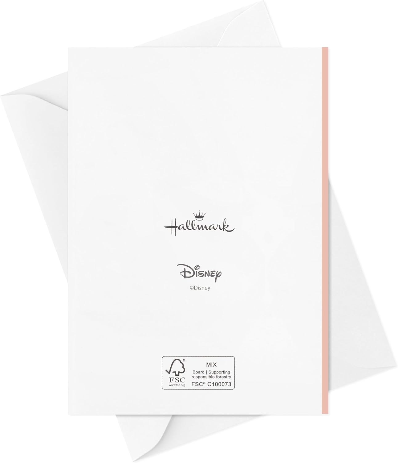 Hallmark Disney Princess Assorted Blank Note Cards, Hellos (Pack of 24 Cards with Envelopes) - Image 6