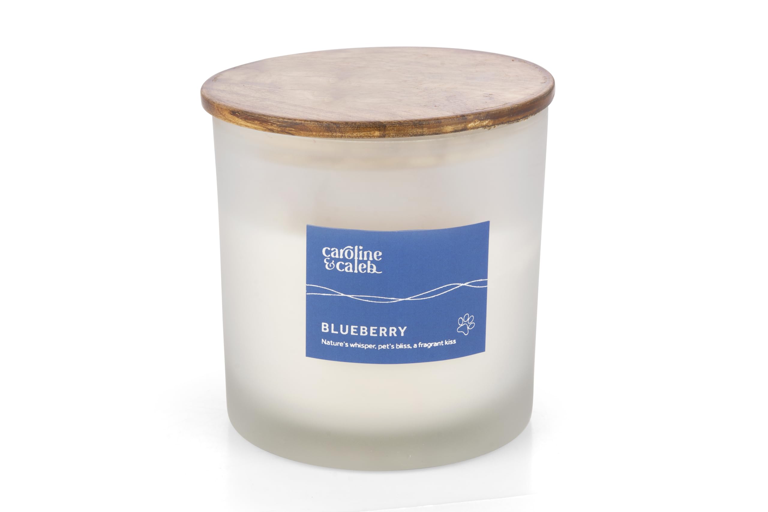 Pet Odour Eliminator | Blueberry Scented Candle by Caroline and Caleb | Non Toxic | Long Lasting 30 Days | 100% Vegan Soy Wax | Pet Odour Remover for Dogs and Cats | Gifting