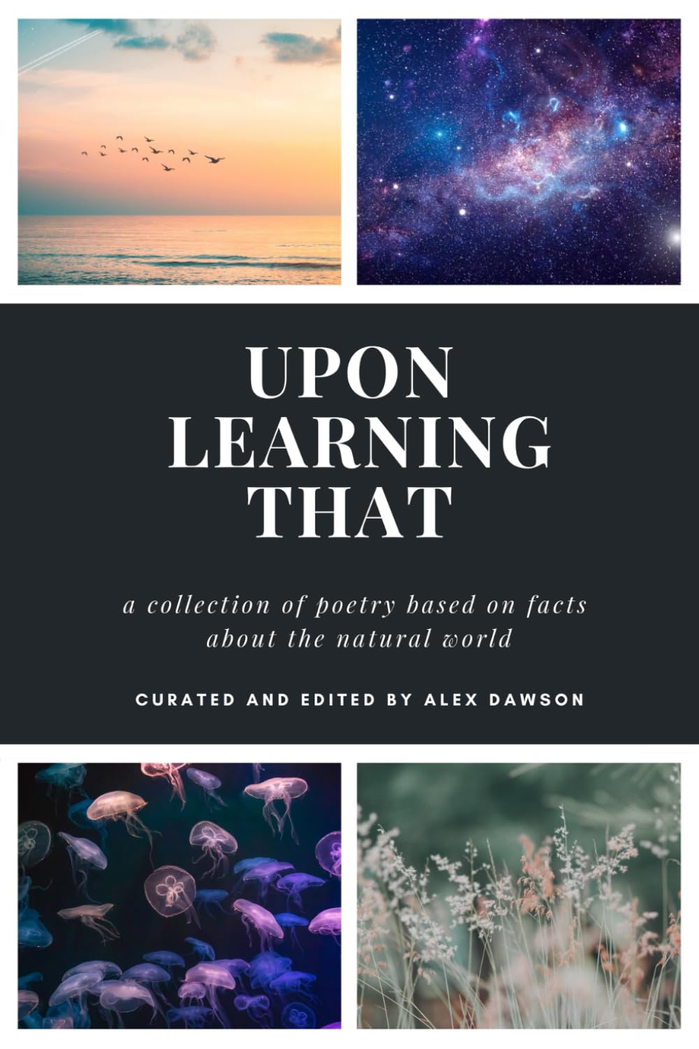 Upon Learning That: A collection of poetry based on facts about the natural world