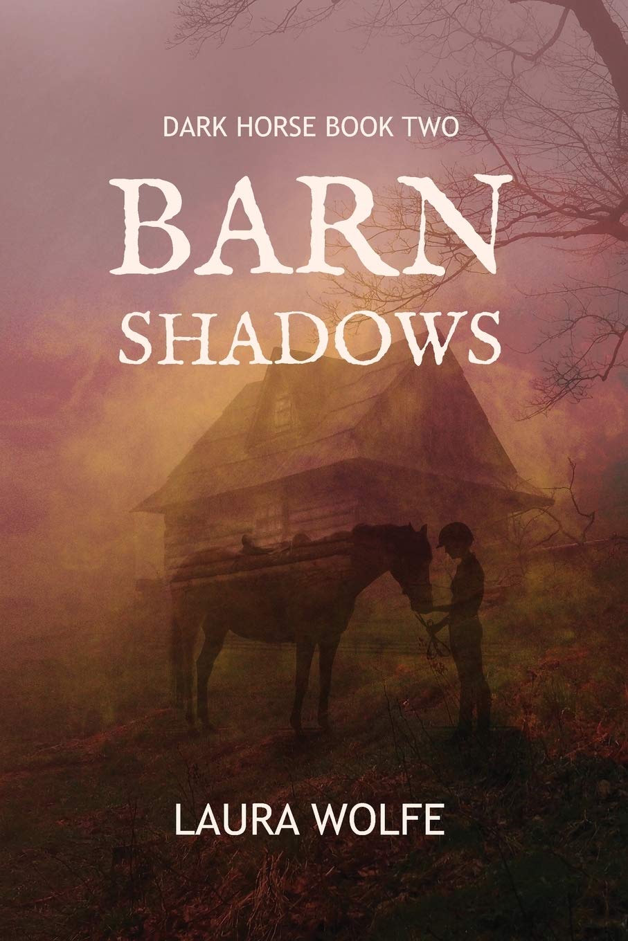 Barn Shadows: Dark Horse, Book Two: 2