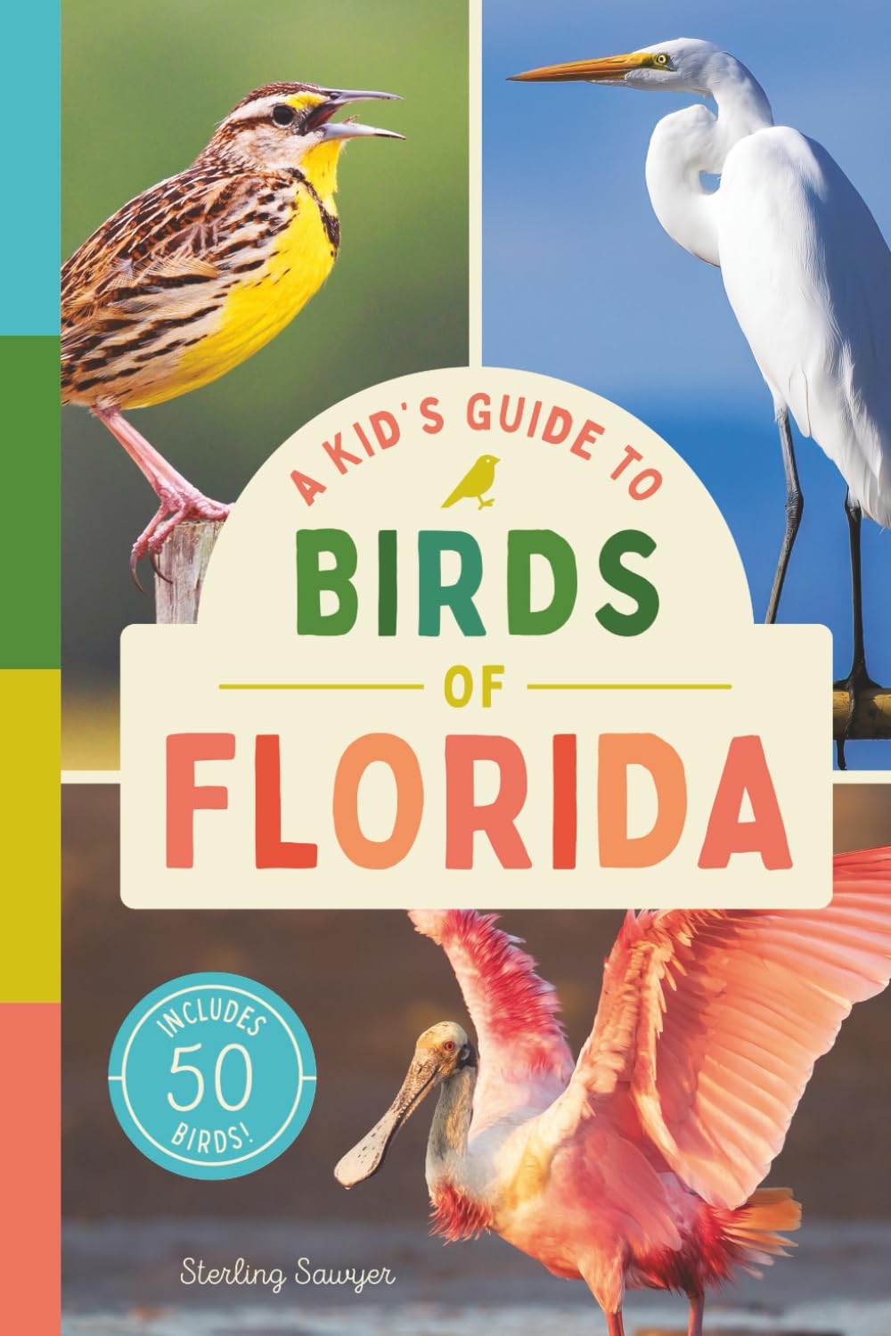 A Kid’s Guide to Birds of Florida: An Introduction to Florida Birds with Full-Color Illustrations, Glossary, Birdwatching Tips, and More (Book About ... 6-9) (A Kid's Guide to the Natural World)