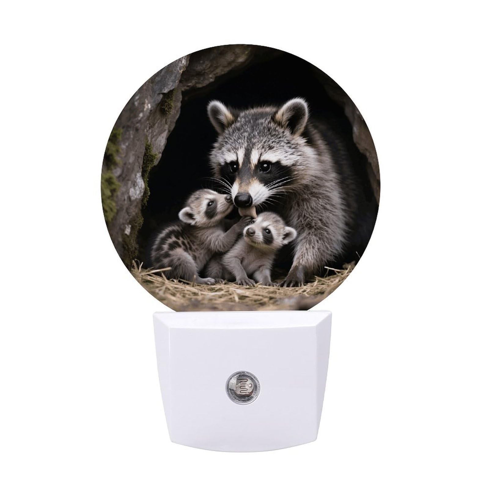 FodPand Night Light Plug Into Wall with Dusk to Dawn Sensor 0.5w Modern LED Raccoons Plug in Night Lamp Warm White Glow Nightlight for Bedroom Hallway Kitchen Bathroom Stairs Corridor(Round)