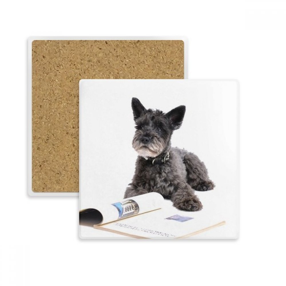 Cadeau absorbent de boissons avec photo de chien pour anniversaire et fêtes