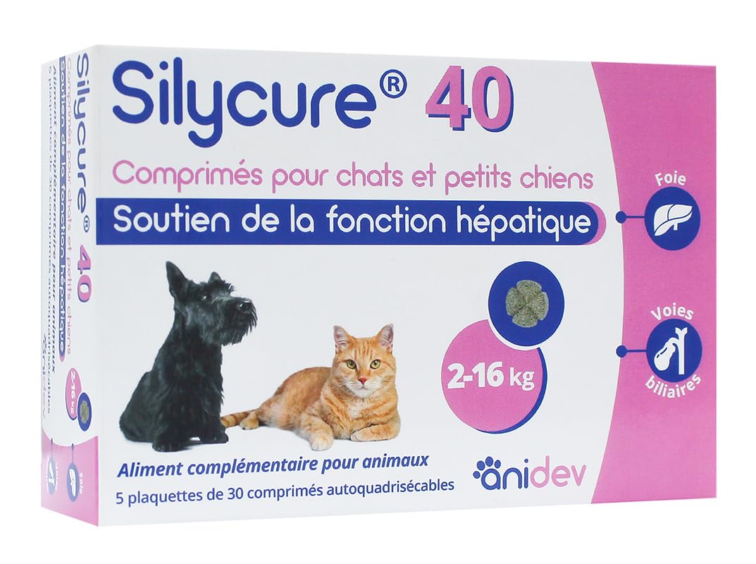 SYLICURE 40 mg - ANIDEV 150 comprimés