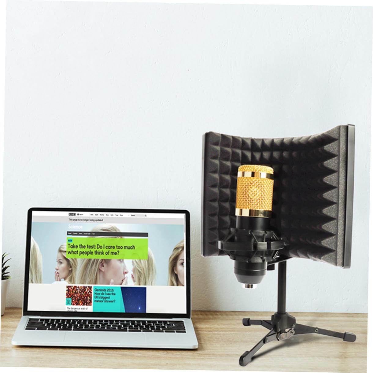 TOYANDONA 1set Microfono Anti-vento Con Schermo Isolante Spugna Per Registrazioni Professionali Karaoke e Broadcast Completo Con Supporto Desktop