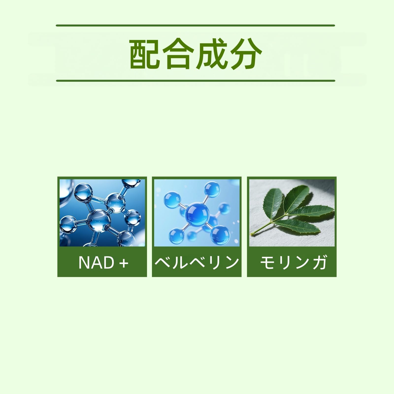 Amazon.co.jp: 2026 リニューアル｜ベルベリンモリンガパッチ ナノ