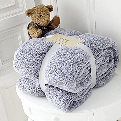 Queens Land Home Ultra Soft Teddy Bear Throws Cuddly Thick Warm Blanket. (Silver, Double)