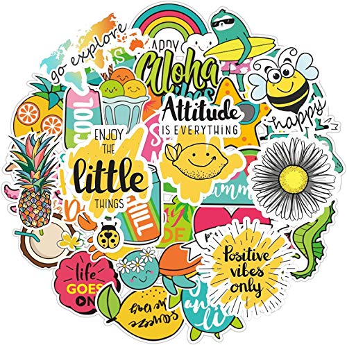 Vsco Stickers for Water Bottles[50PCS], Laptops Sticker for Teens Vsco Girl Meme Stuff
