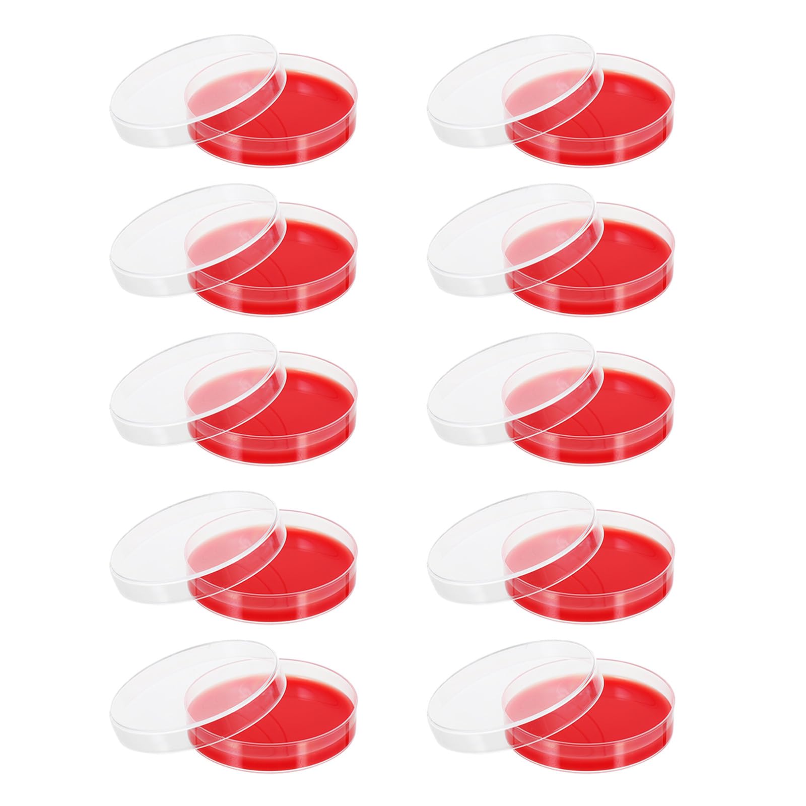 Placas de Petri medio de agar sangre GANAZONO 10 unidades de 70 mm para cultivo bacteriano