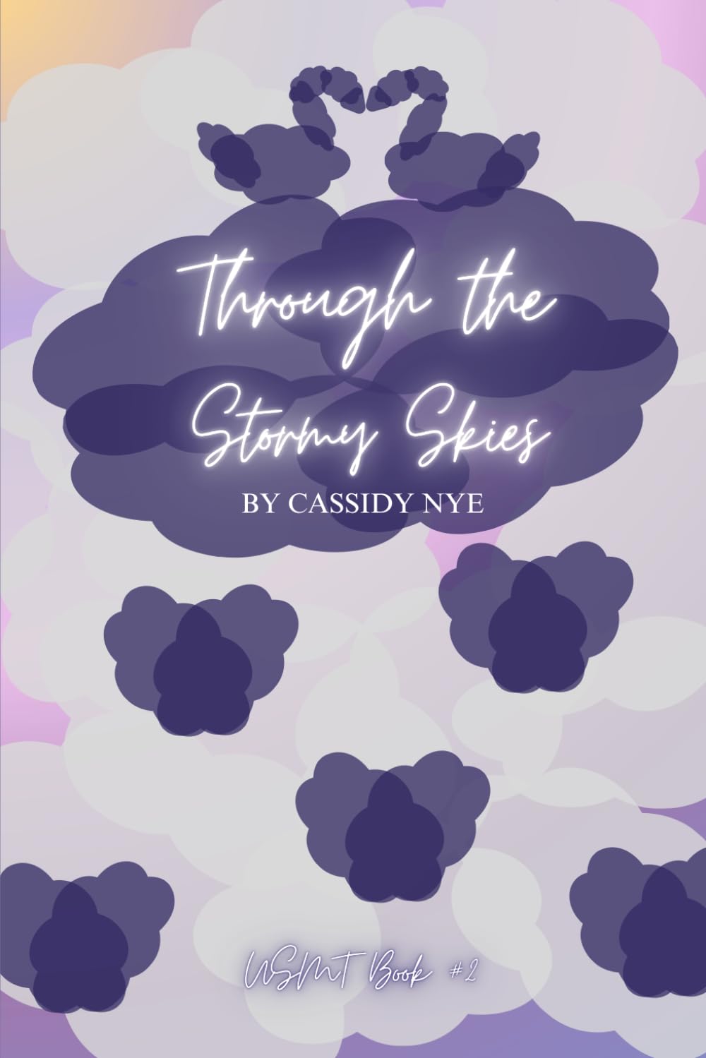 Through the Stormy Skies: USMT Book 2