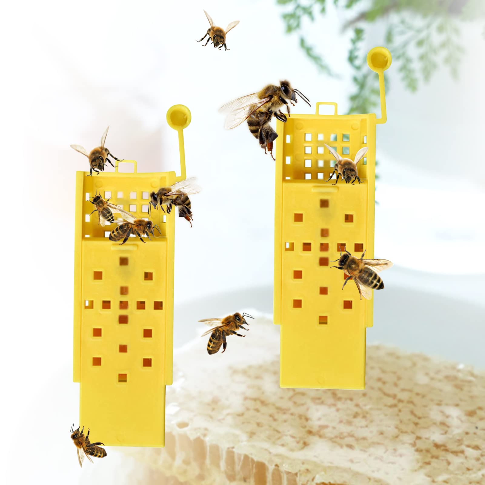 Gabbie Per Api Regine - 14 Pezzi In Plastica Gialla Per Apicoltori Professionisti E Principianti - Foto 10