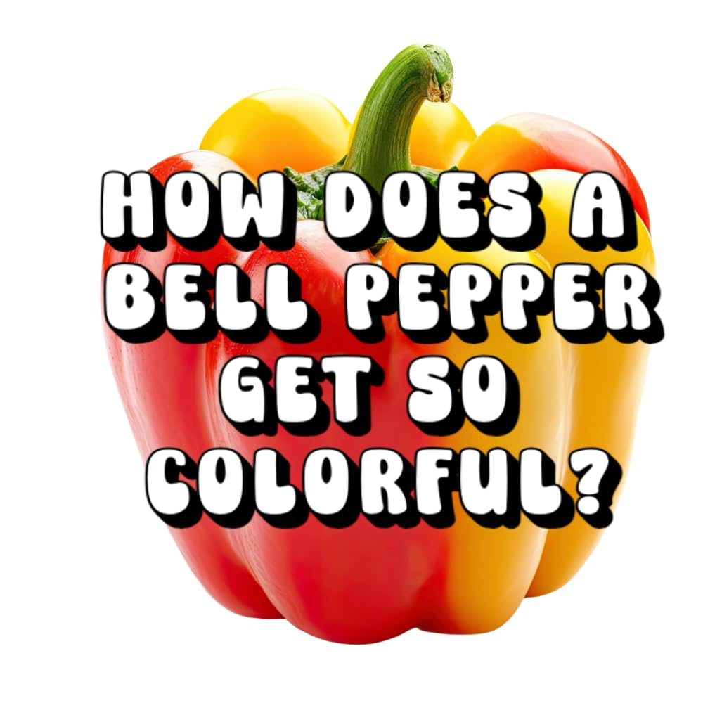 How Does a Bell Pepper Get So Colorful?
