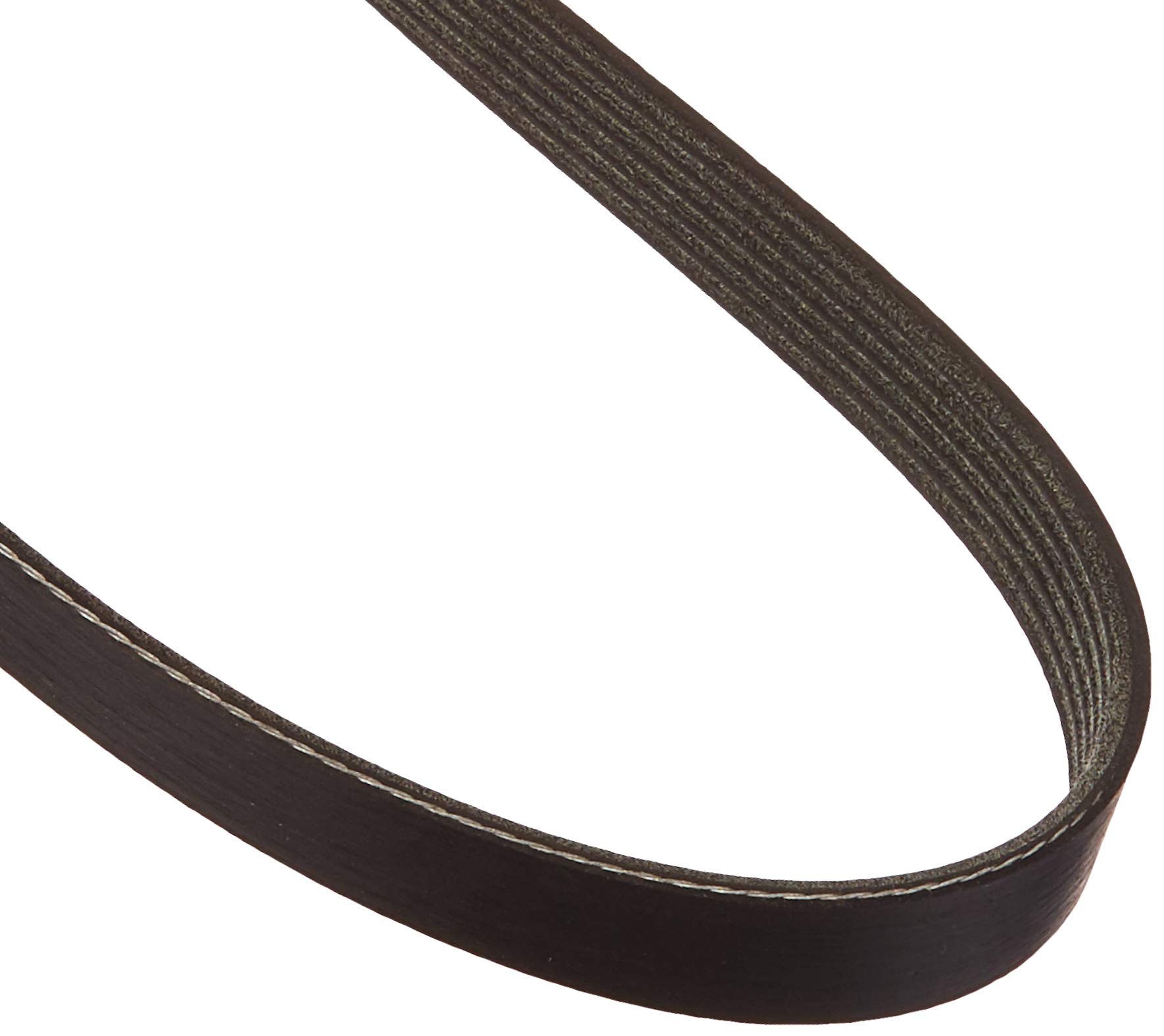Amazon.com: Dayco 5060825 Fan Belt : Automotive