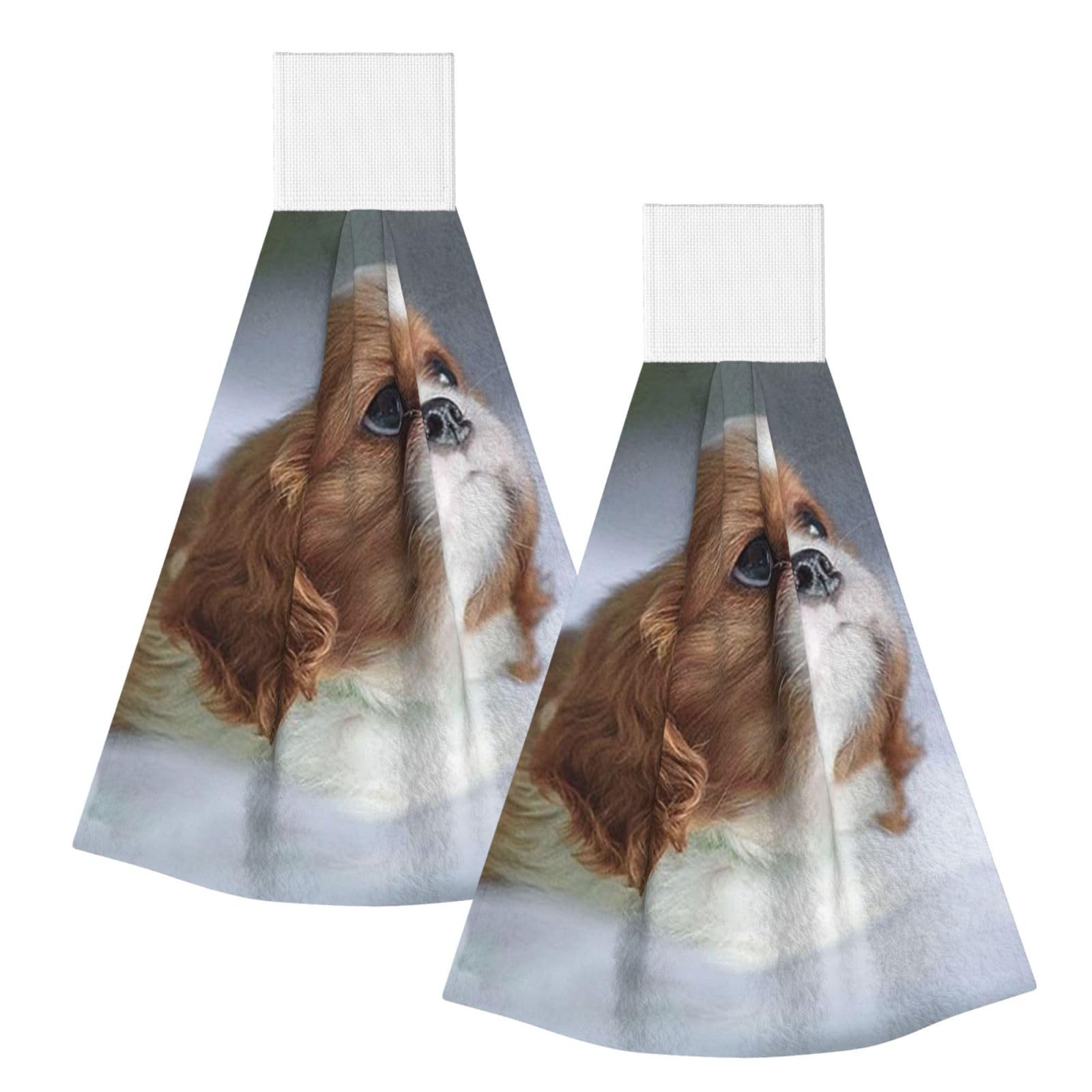 DOPKLNA Cavalier King Charles Spaniel Face, 2 Pcs Hanging Coral Fiber Hand Towels for Bathroom, Absorbent Kitchen Towels
