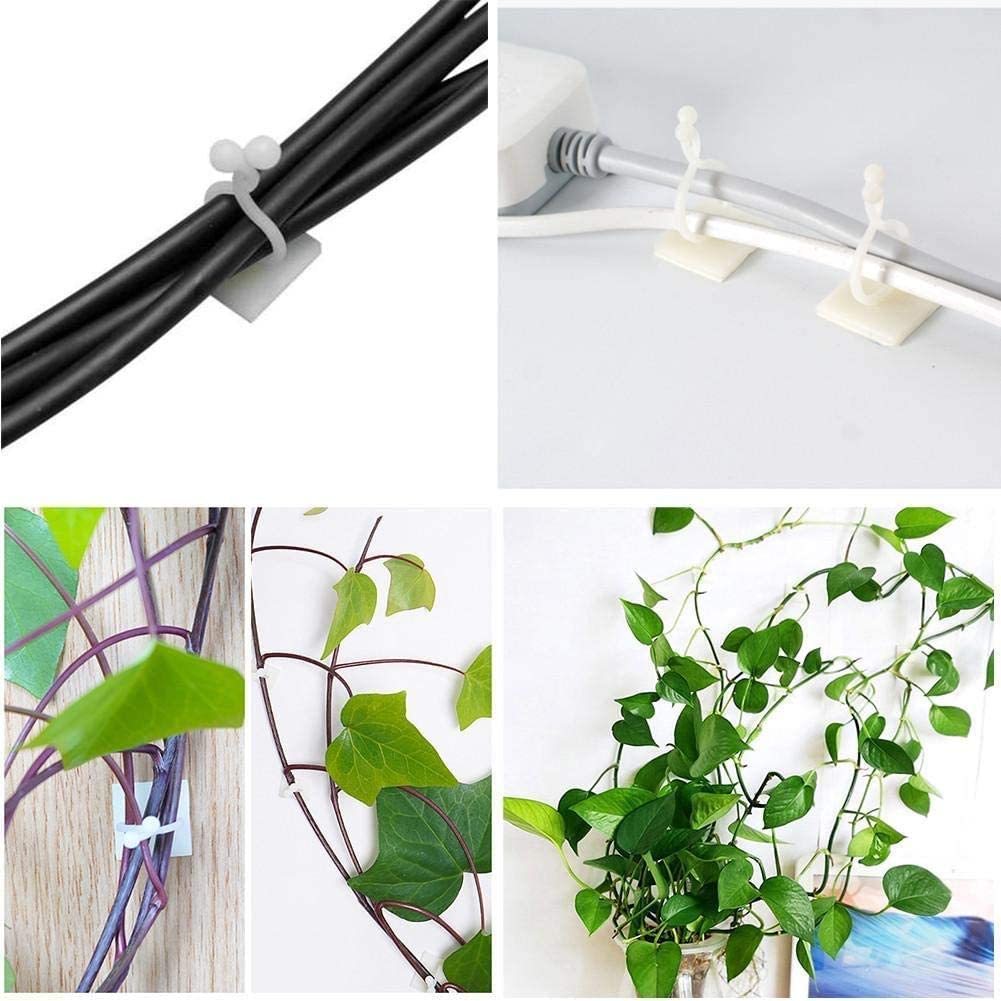 50 Clips Auto-adhésifs Pour Plantes Grimpantes - Support Mural Pratique Pour Décorer Maison Et Bureau