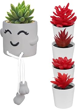 Uguisu Fake Plants,Fake Succulents,Small Fake Plant,red Decor,red Bathroom Decor,red Wall Decor,red Home Decor&Cute Plant pots Hanging Succulent Planter,Funny Planter