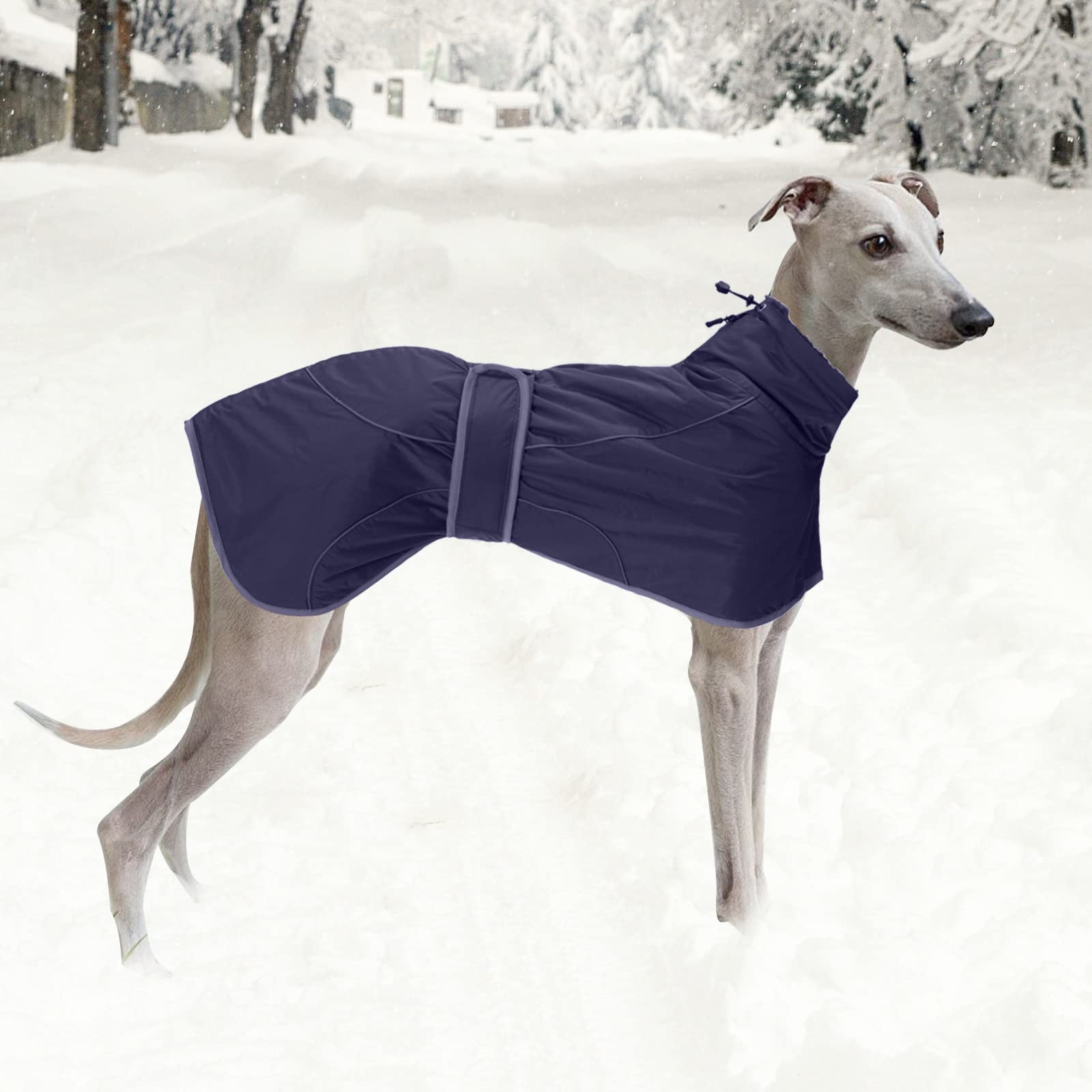 Geyecete Abrigo Invierno para Galgo, Impermeable Chaquetas Perro con Forro Polar Cálido,Abrigo Whippet, Abrigo Lurcher,Térmico Chaquetas Ideal para Perros Medianos y Grandes-Navy-L