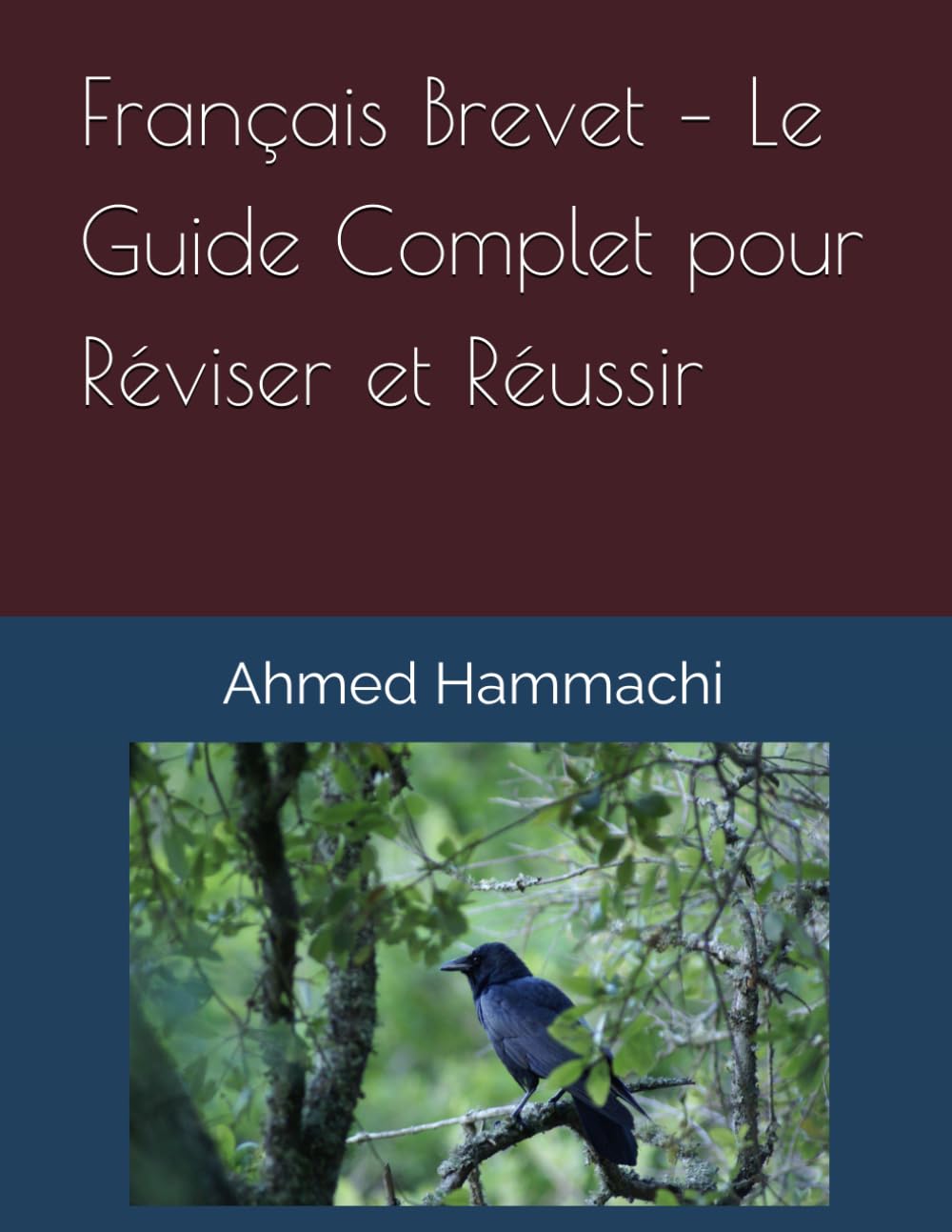 Français Brevet – Le Guide Complet pour Réviser et Réussir