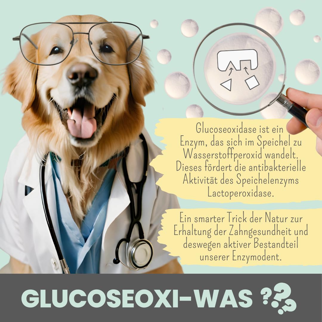 noms+ Enzymodent Enzymatische Hundezahnpasta mit natürlicher Pflege- und Präventionsformel gegen Mundgeruch und Zahnstein beim Hund