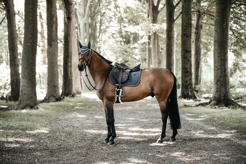 Kentucky Pearls - Mantilla para Caballo