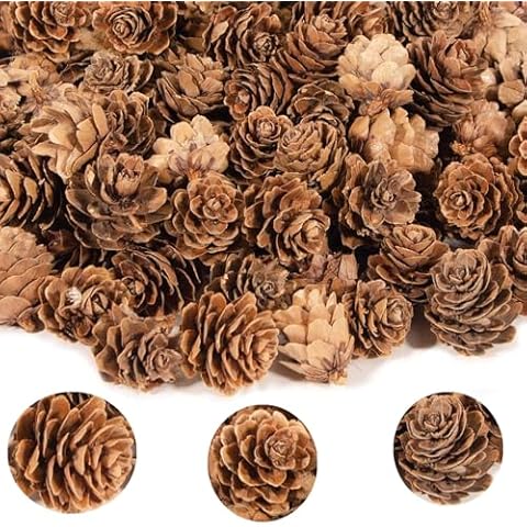 alfyng 180 PCS Christmas 1-2 Inch Large Pine Cones, Thanksgiving Brown Pinecones Vase Fillers Ornaments for Home Wedding Decoration, DIY Fall and Christmas Crafts Cover